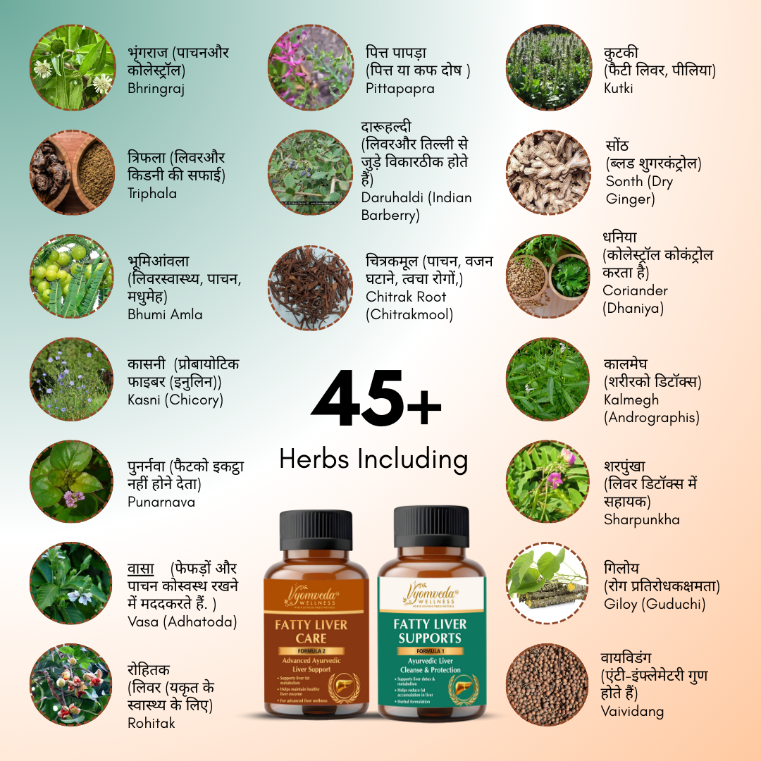 Fatty Liver Care (Formula-1 & Formula-2 Combo)